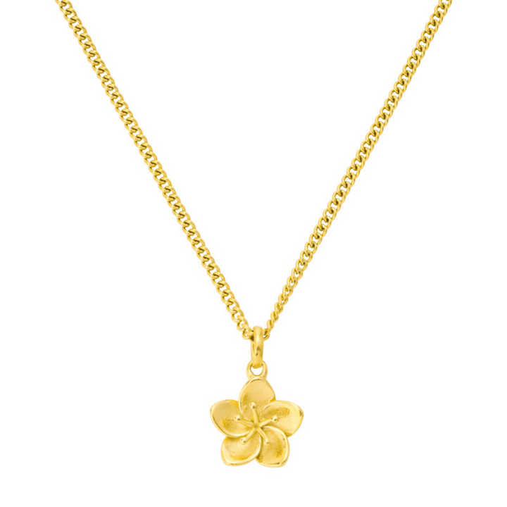 Viktoria Elegantní Minimalistický Náhrdelník Všestranný