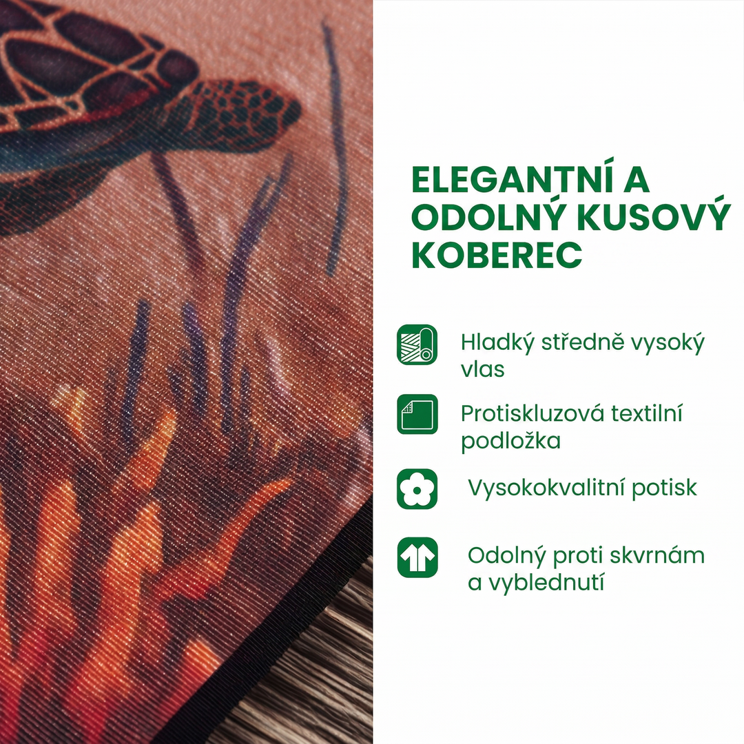 Koberec Stříbrná Poinsécie